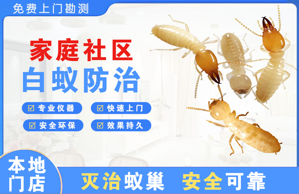 阜阳家庭社区白蚁防治