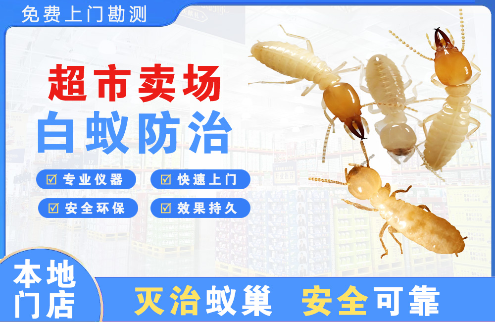 阜阳超市卖场白蚁防治
