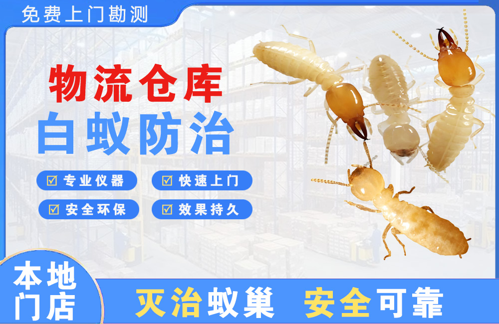 阜阳物流仓库白蚁防治