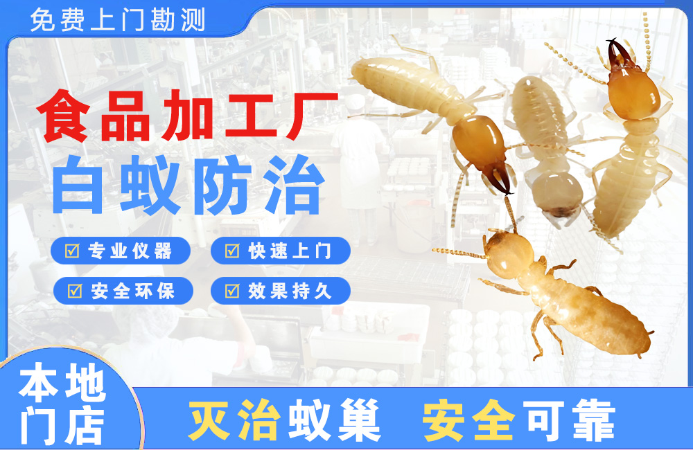阜阳食品加工厂白蚁防治