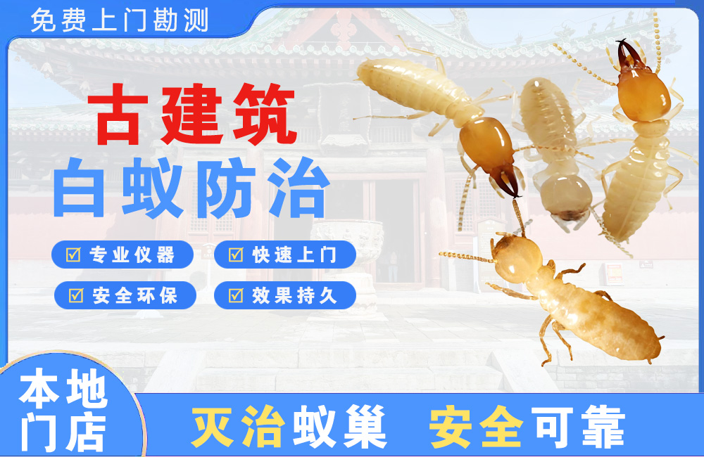 阜阳古建筑白蚁防治
