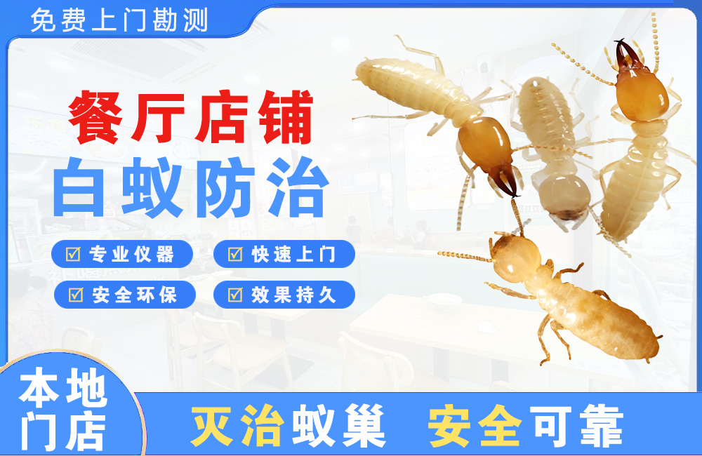 阜阳餐厅店铺白蚁防治